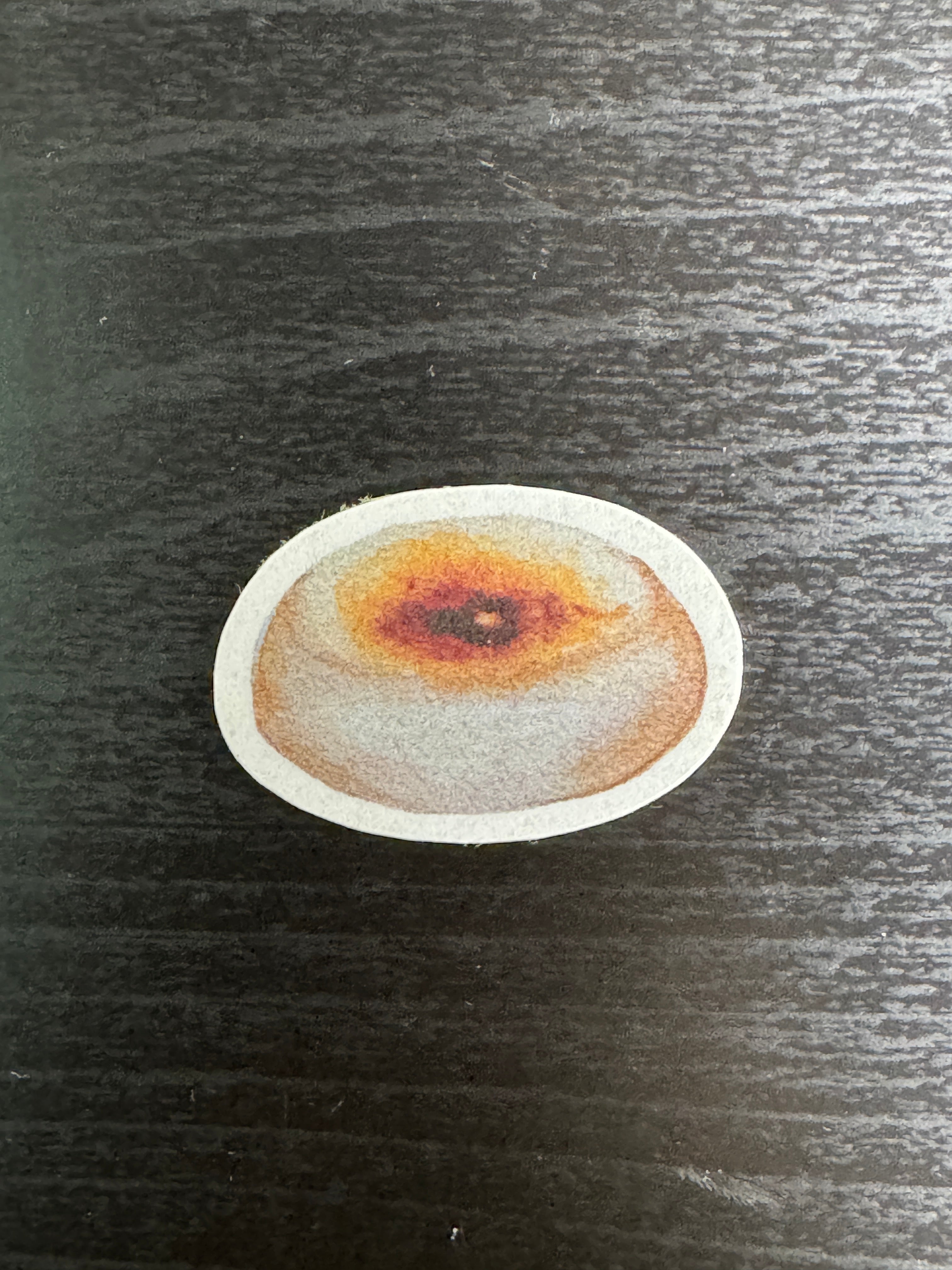 Brown Sugar Bun Sticker