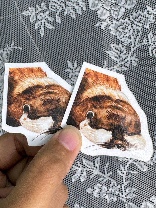 Cute Eepy Otter Sticker